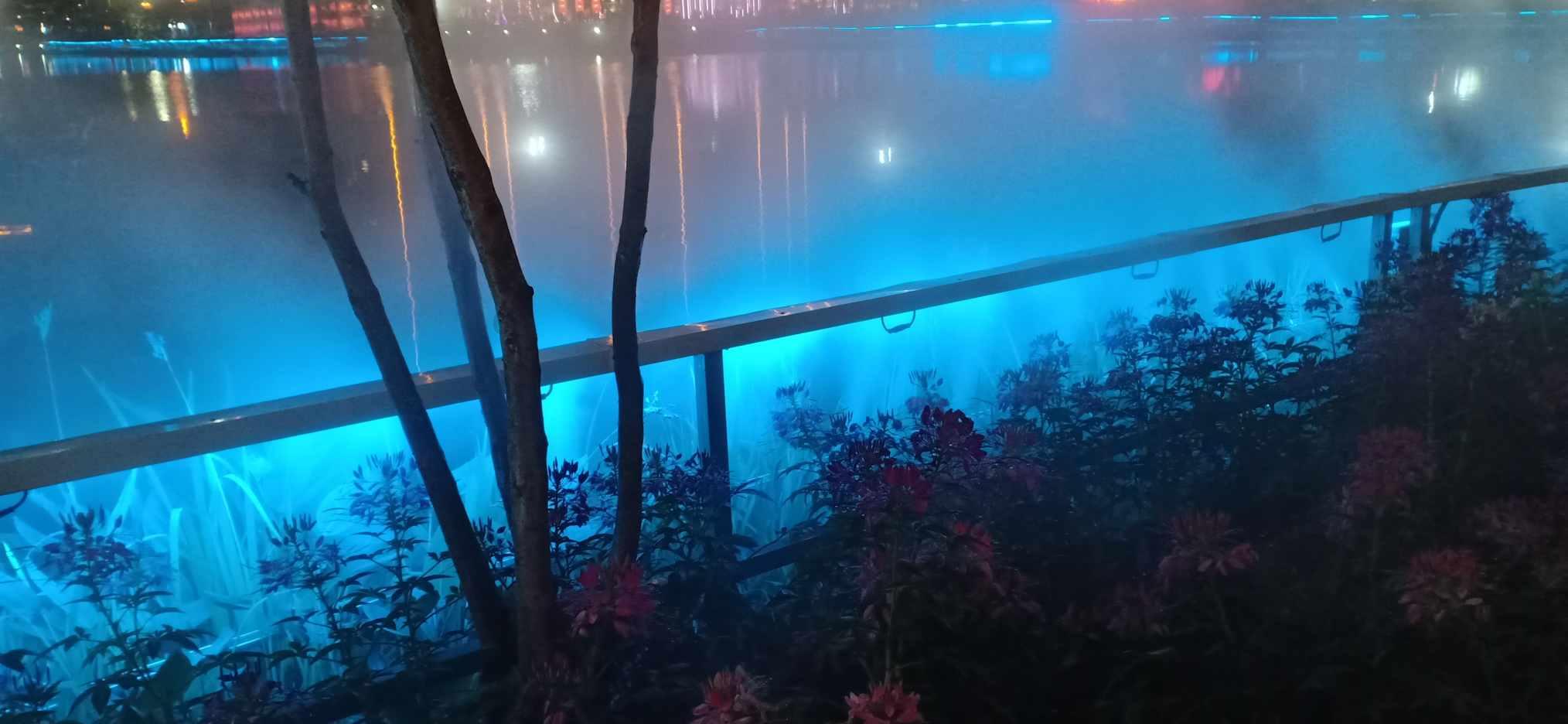 史小坑的爆笑生活11